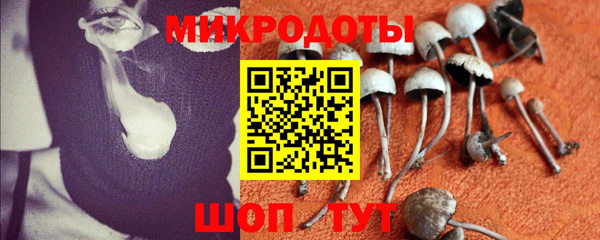 Торжок  Псилоцибиновые грибы прущие грибы  Вход с VPN 